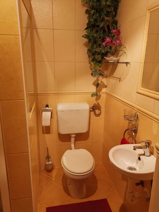Viktor Vendeghaz Apartment โทไก ภายนอก รูปภาพ